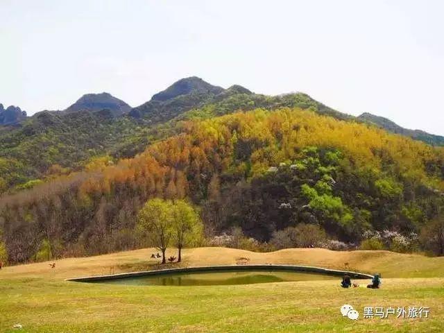 有哪个荧幕CP真正地改变了你的爱情观？游戏画面